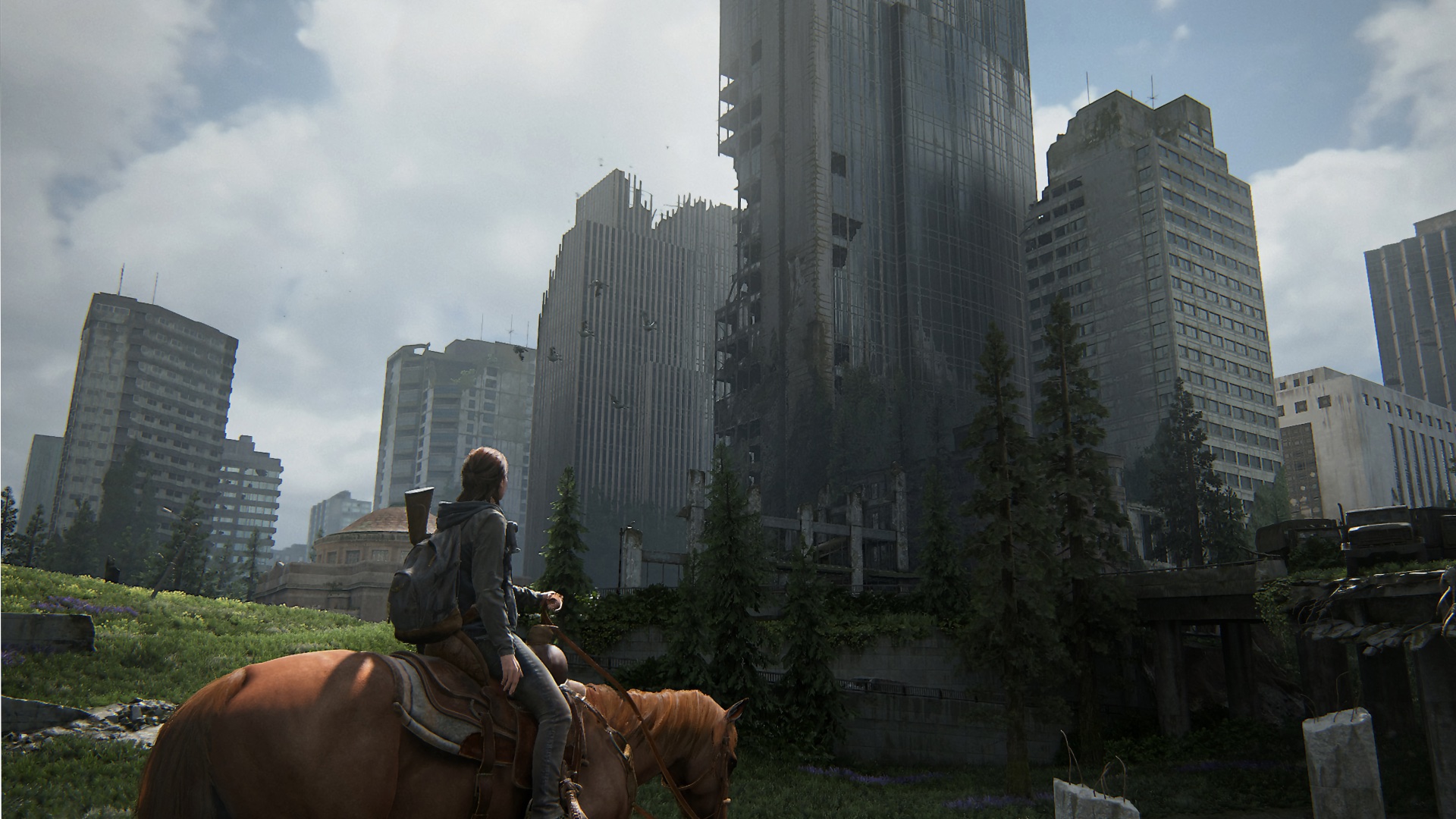 The Last of Us