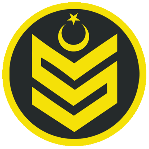 SerdarSari